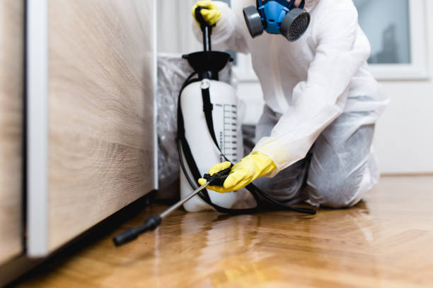 Best Rat Extermination Near Me  in Ludowici, GA