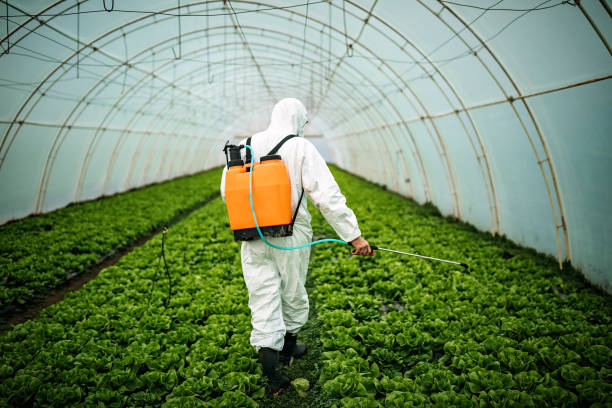 Best Local Pest Control Services  in Ludowici, GA