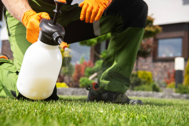 Best Emergency Pest Control  in Ludowici, GA