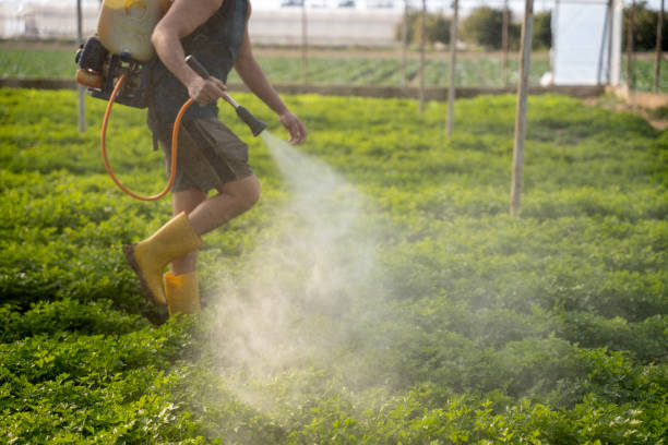 Best Best Pest Control Companies  in Ludowici, GA