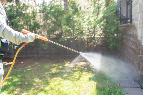 Best Rodent Control Near Me  in Ludowici, GA