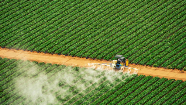 Best Mosquito Control Services  in Ludowici, GA