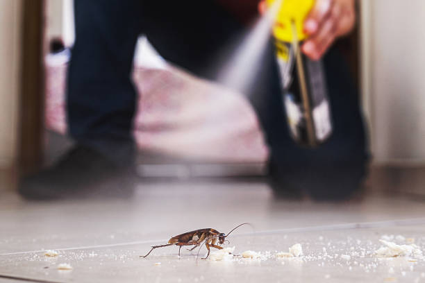 Best Pest Inspection Near Me  in Ludowici, GA