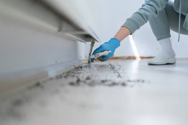 Best Exterminator Services  in Ludowici, GA